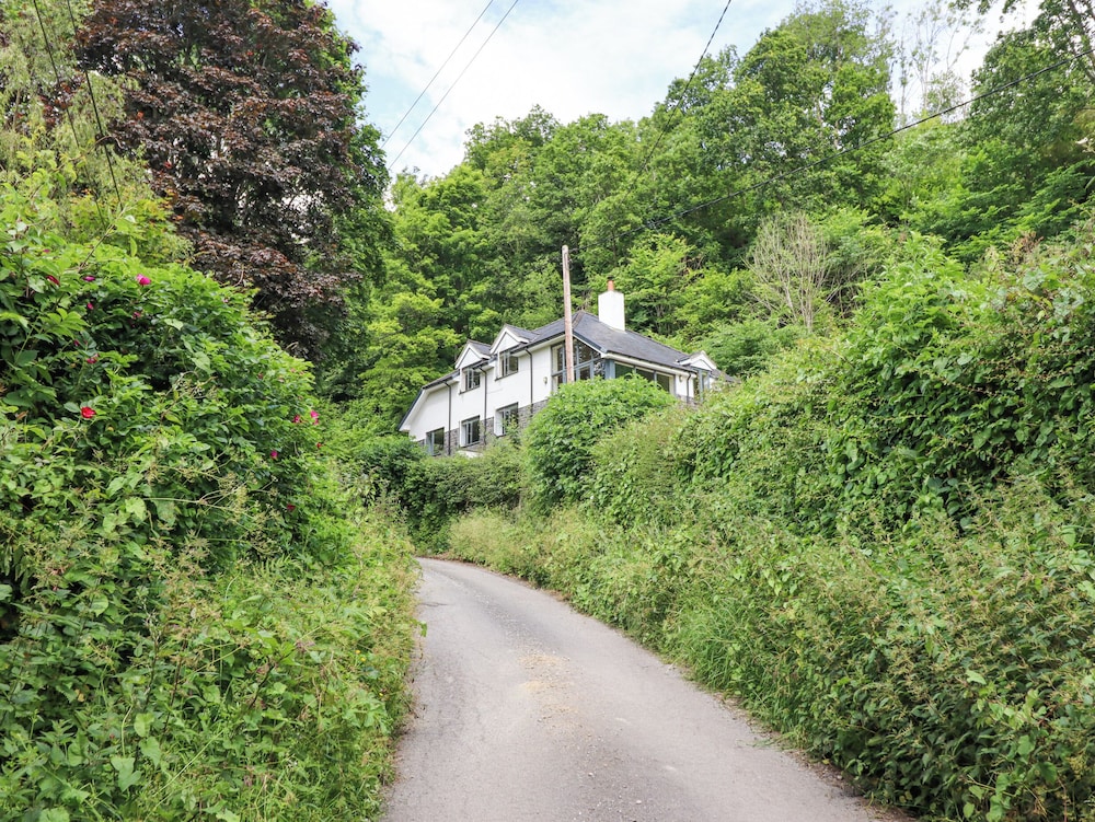Bryn Golau