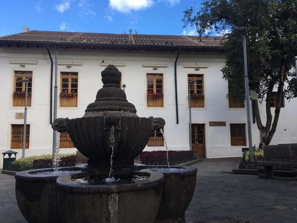 Photo 26