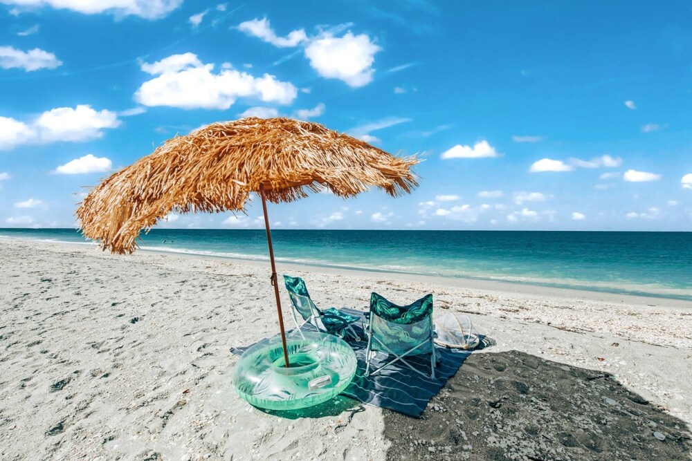 Hidden Treasure on Lido Key