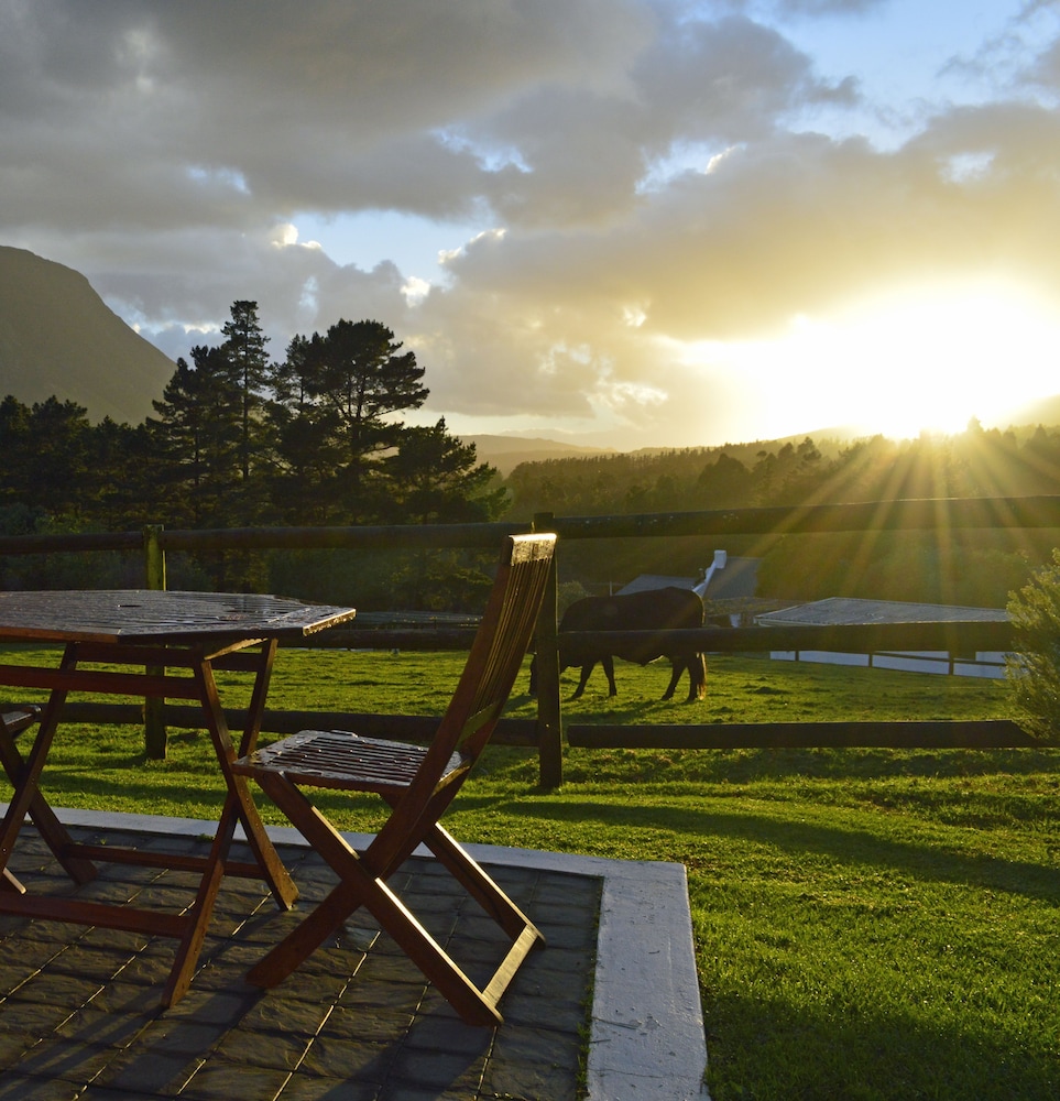 High Season Farm