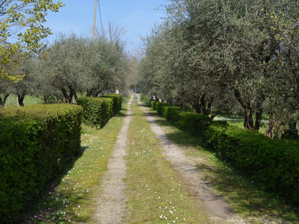 Photo 32