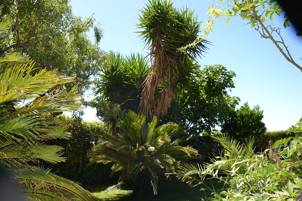 Photo 47