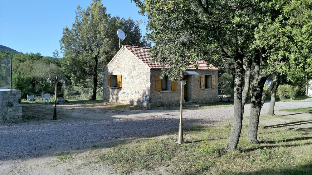 E Canicce
