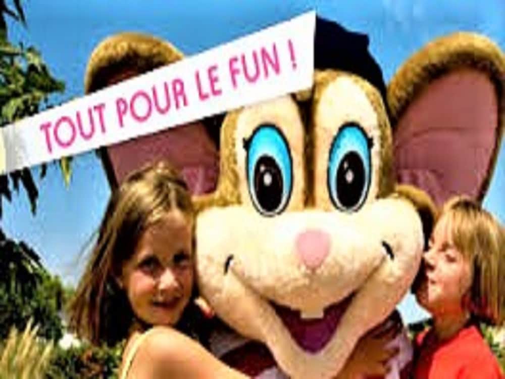 Photo 41