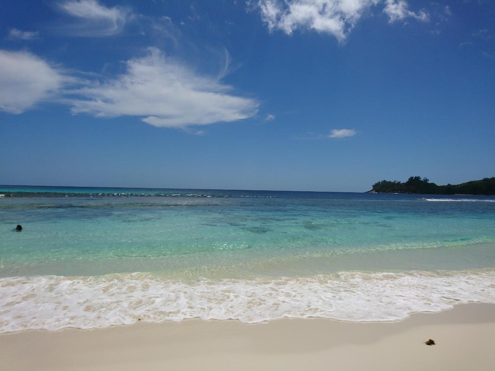 A Peace in Paradise