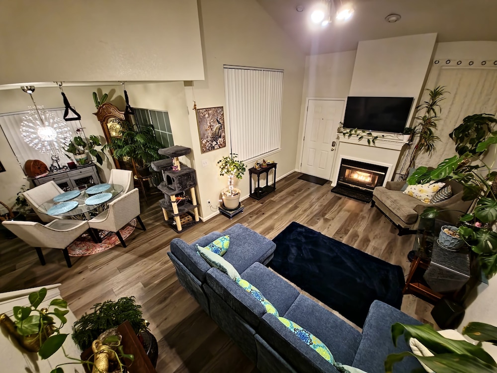 Casa de gato