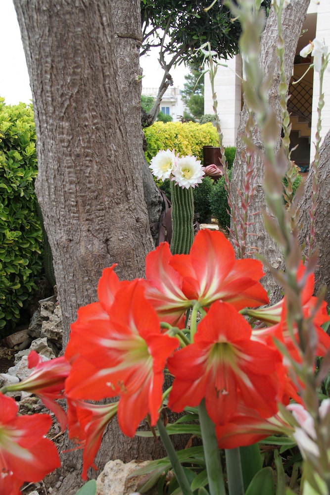 Photo 29