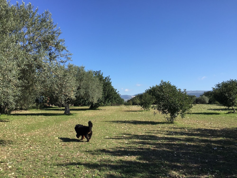 Dimora di Dante