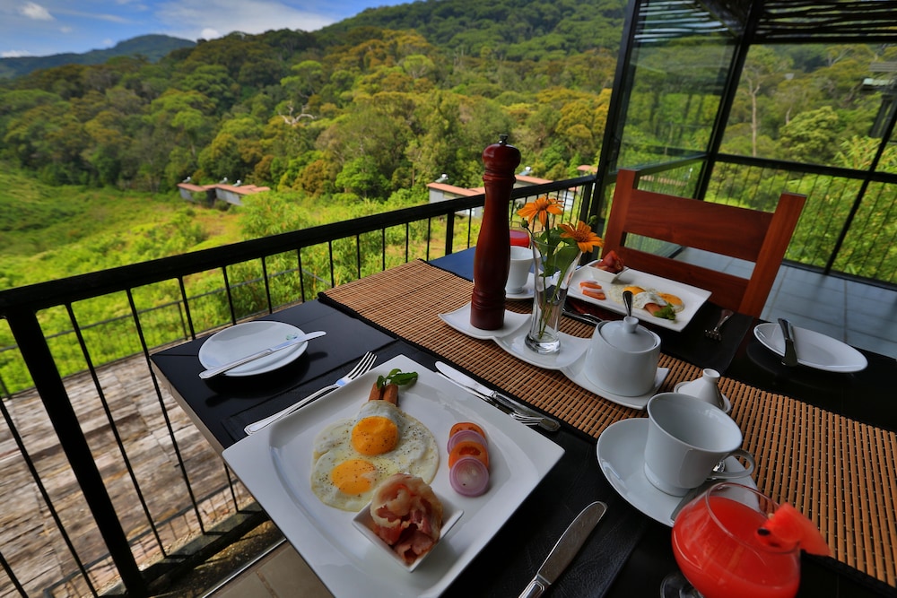 The Rainforest Ecolodge