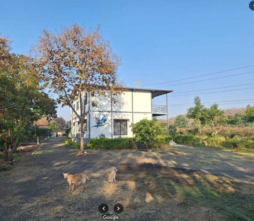 Maya Farm Stay