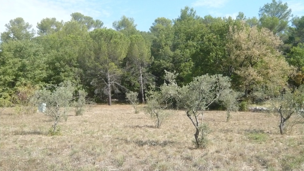 Photo 24