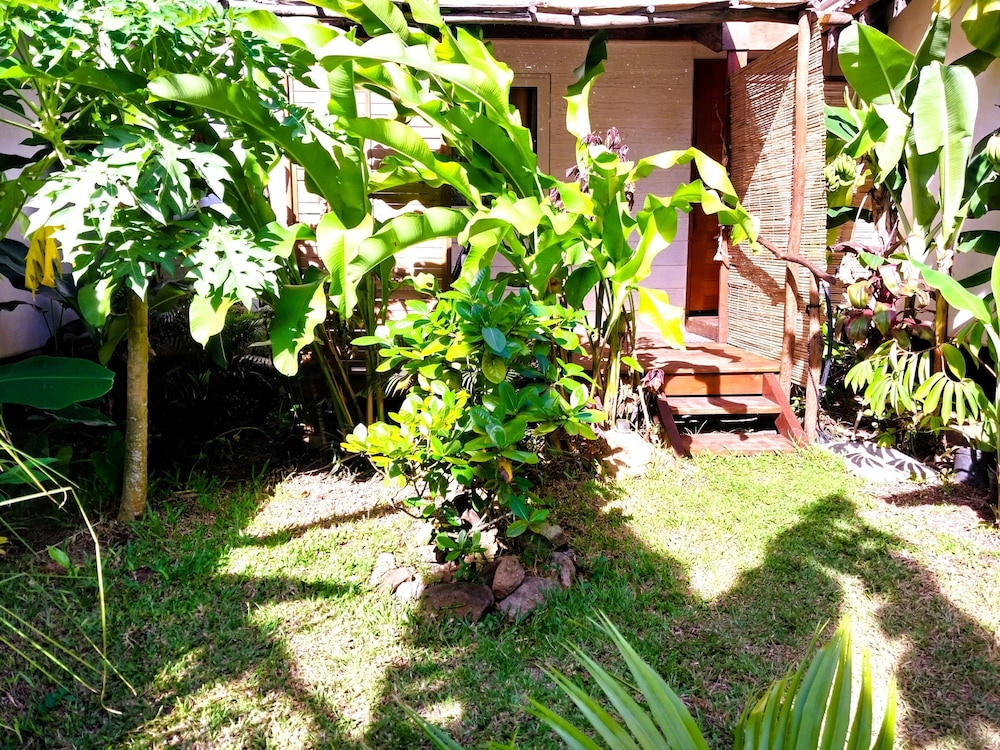 Moorea - Tropical Nest