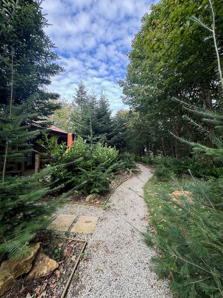 Hayne Barn Estate - Private Estate : 6 Eco Lodges - 1 Studio