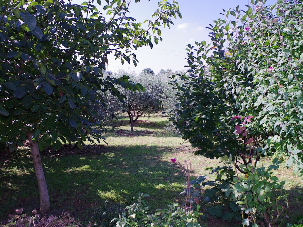 Photo 21