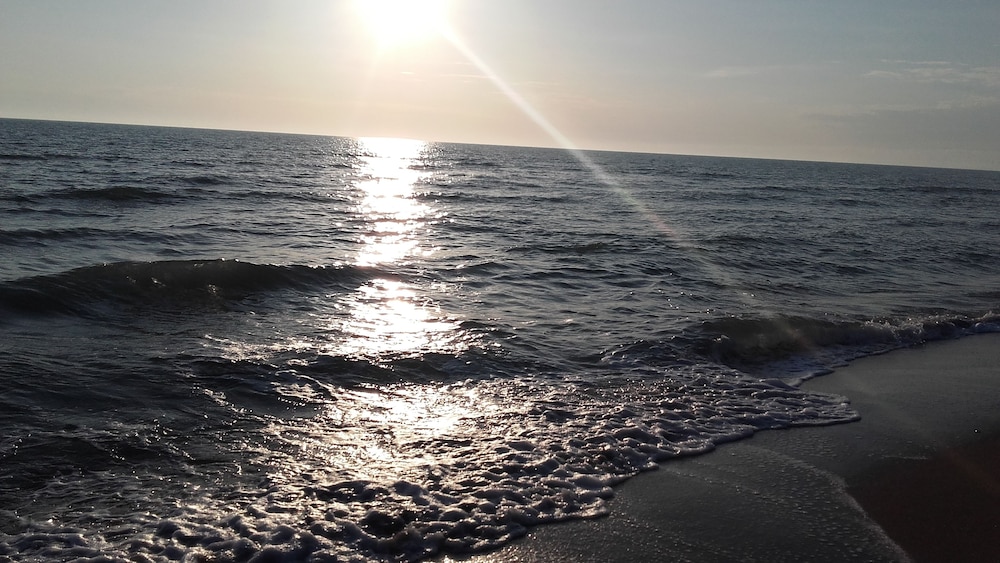 Photo 31