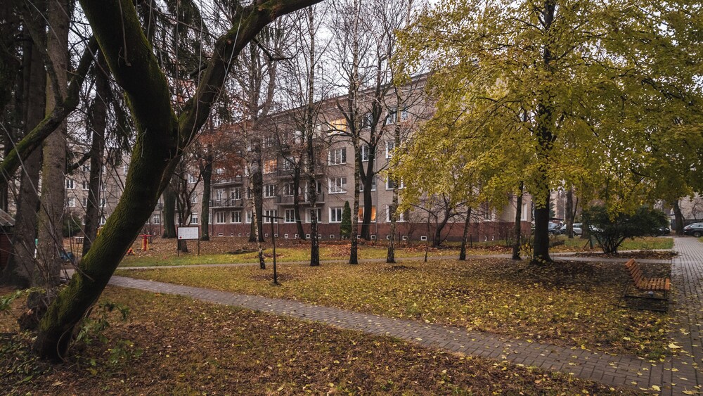 Apartament Sun & Snow Drzewieckiego