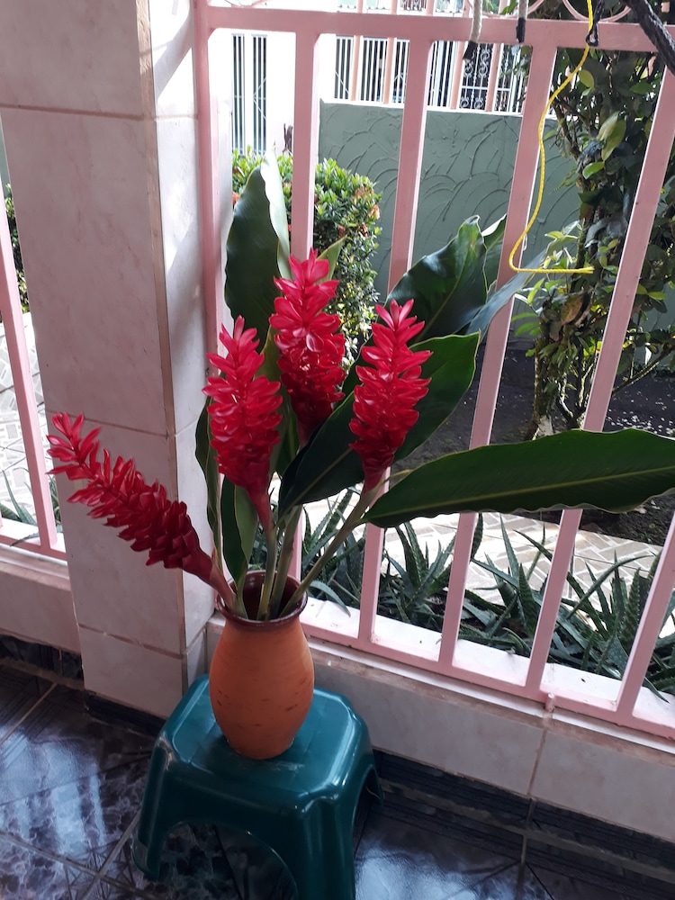 Arenal Volcano - Costa Rica Vacations - Sunset Inn Valle del Volcan - Property Image 32