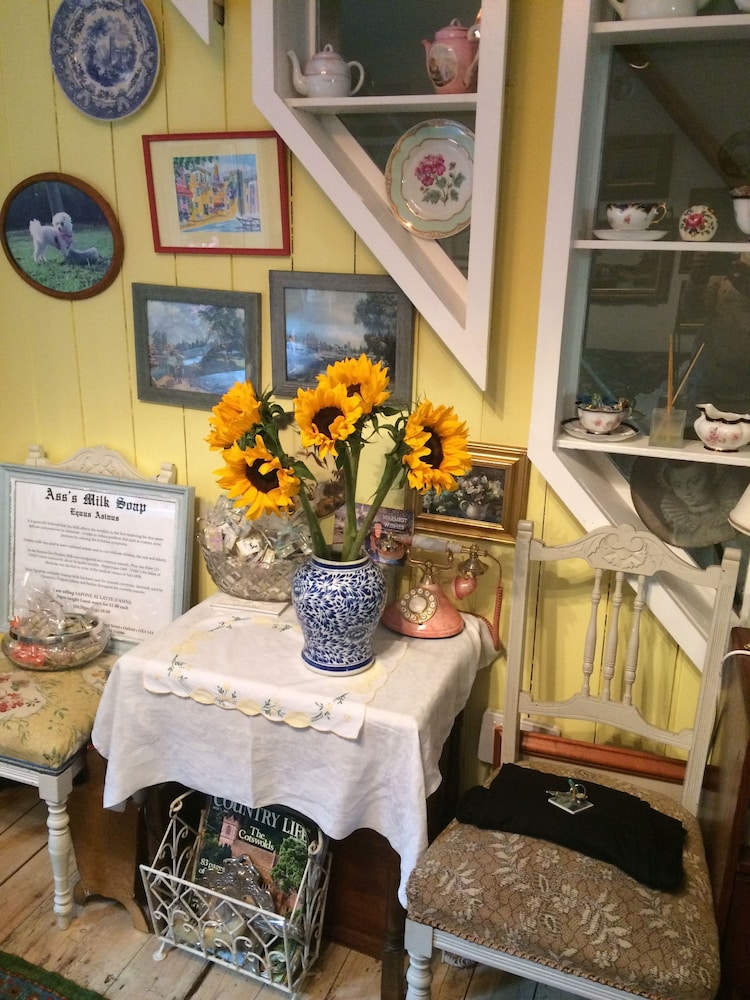 Arts & Bichons B&B