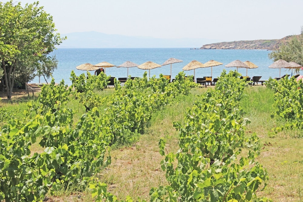 Arsipel Otel - Image 51