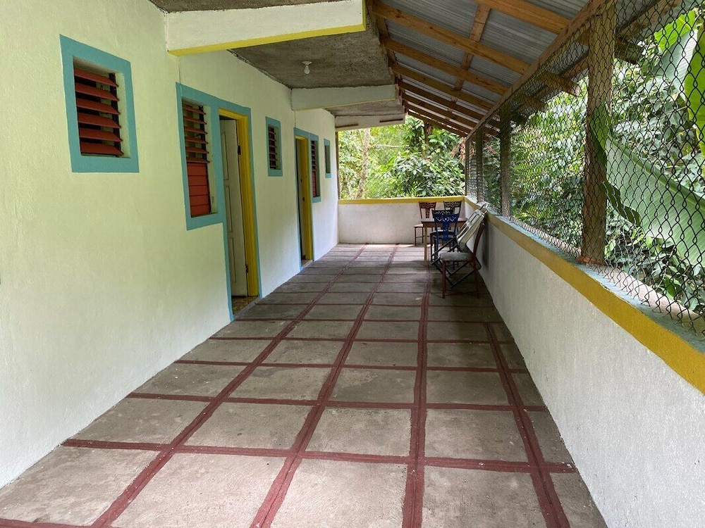 Photo 13