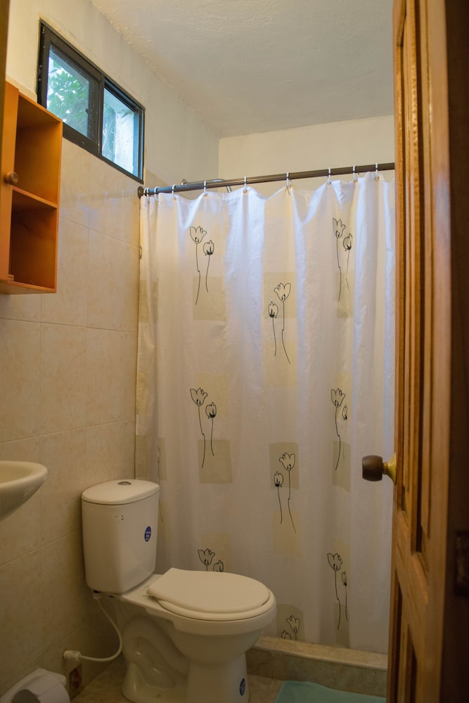 Prima Luna Palomino - Property Image 47