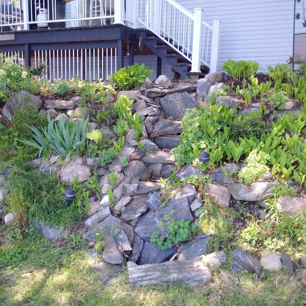 Black Lake Cabins