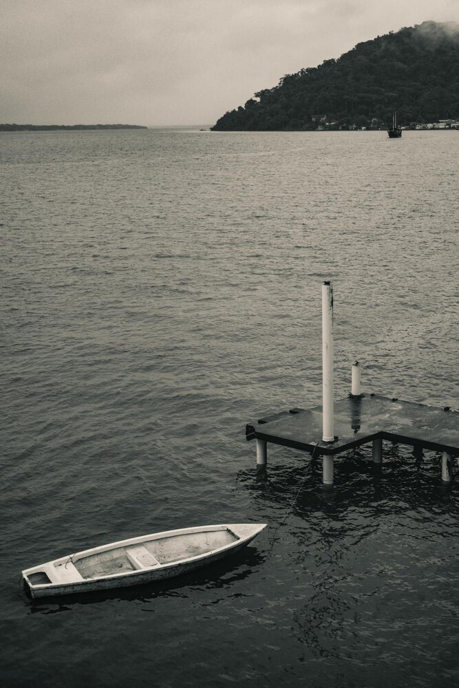 Photo 42