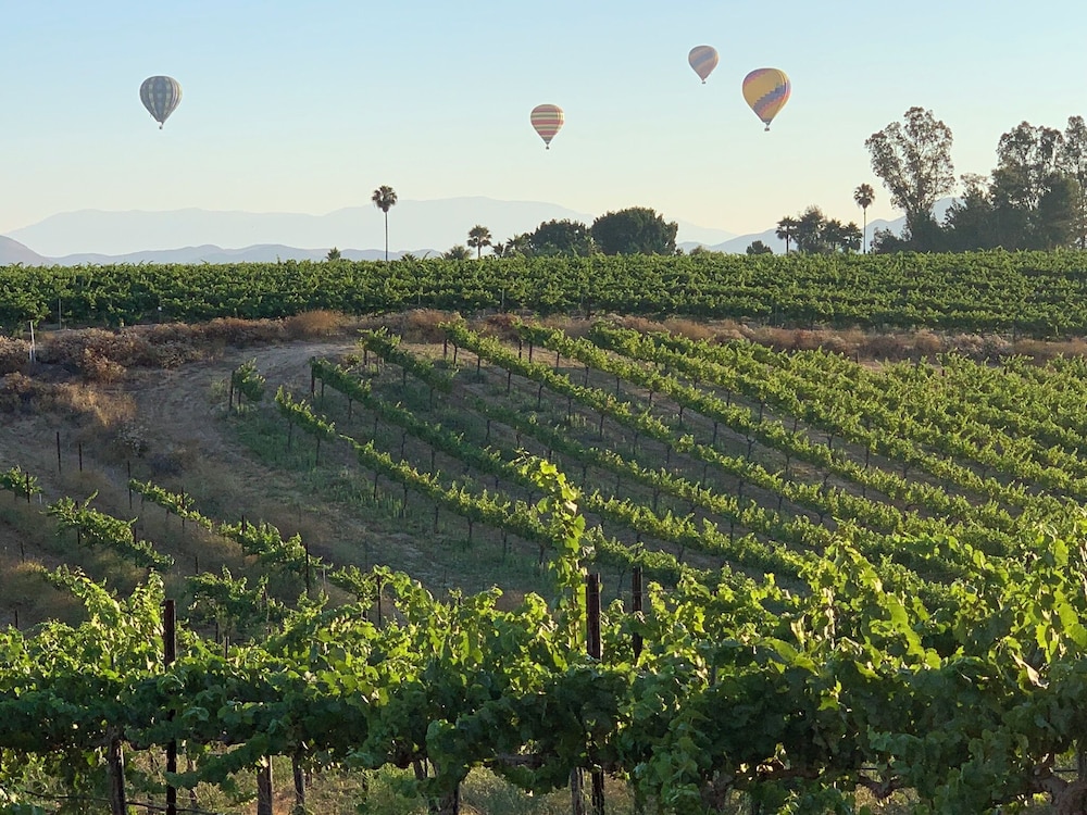 Domaine Chardonnay