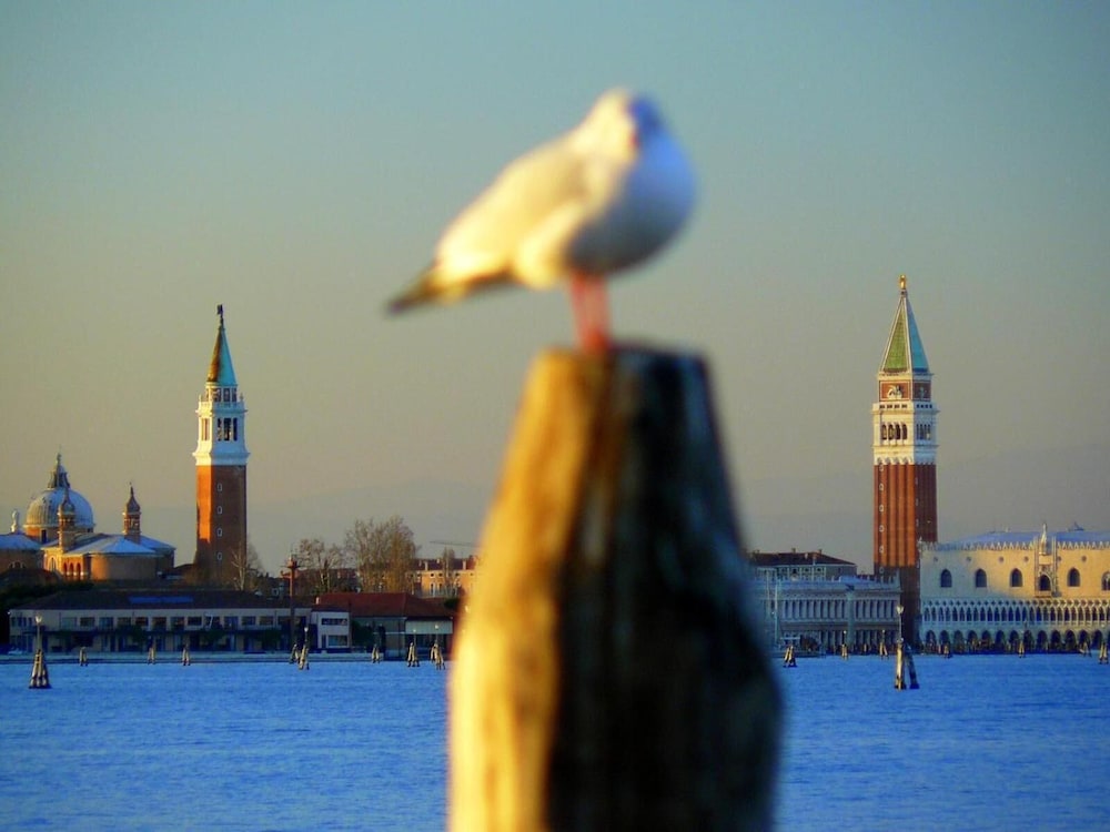 Villa Venice Movie