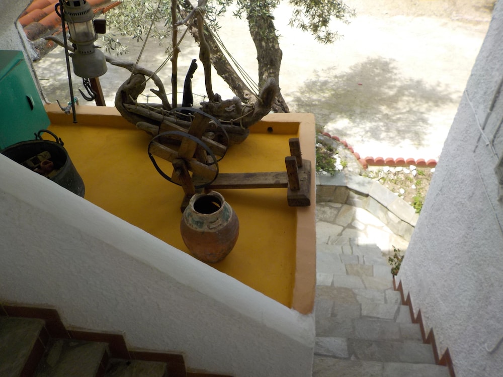 Azalea Studios