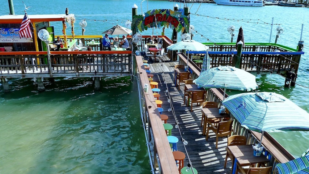 Sea Shell 28