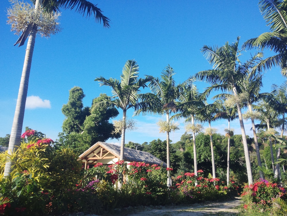 Tanna Evergreen Resort & Tours