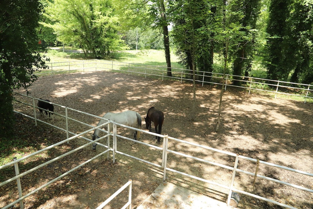 Filyos Ecopark - Property Image 9