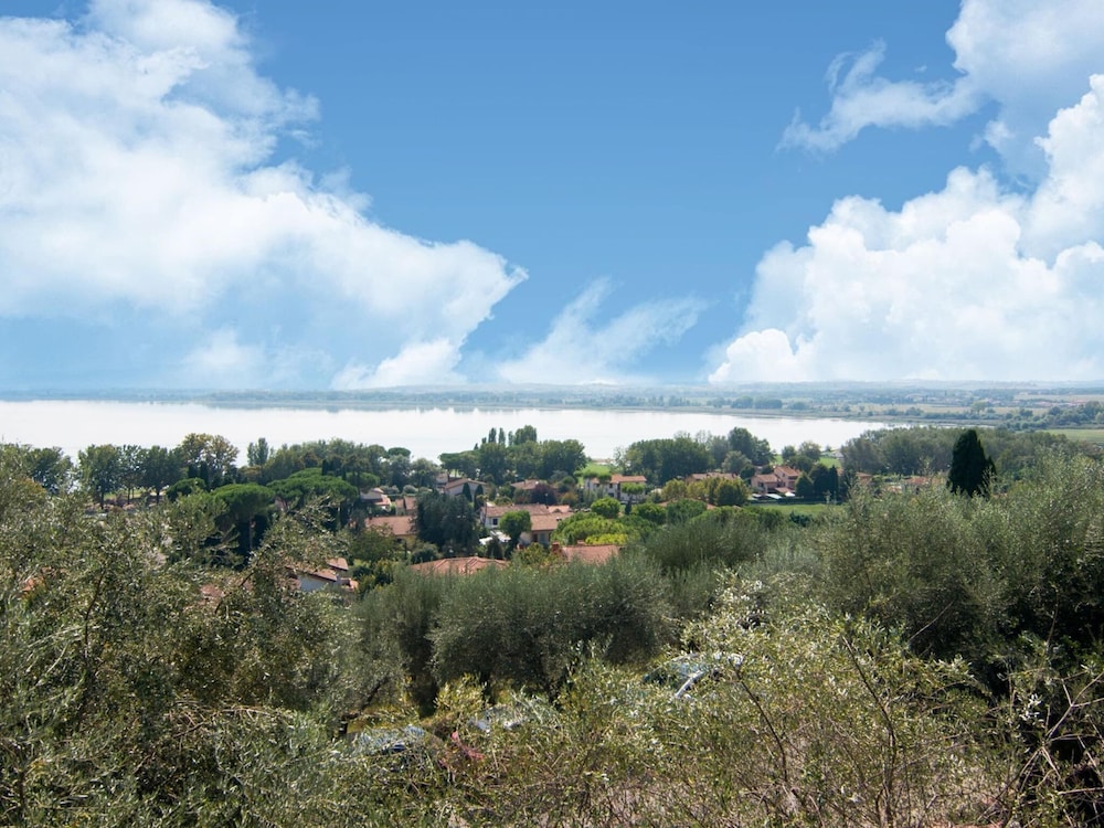 Photo 42