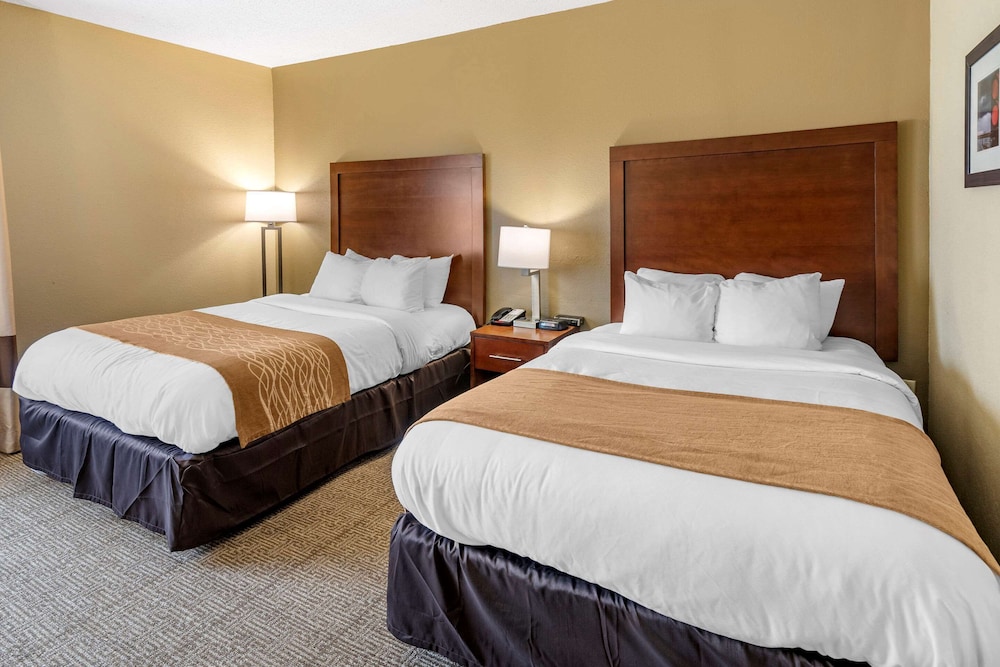 Comfort Inn & Suites Lincoln I-20 view 3