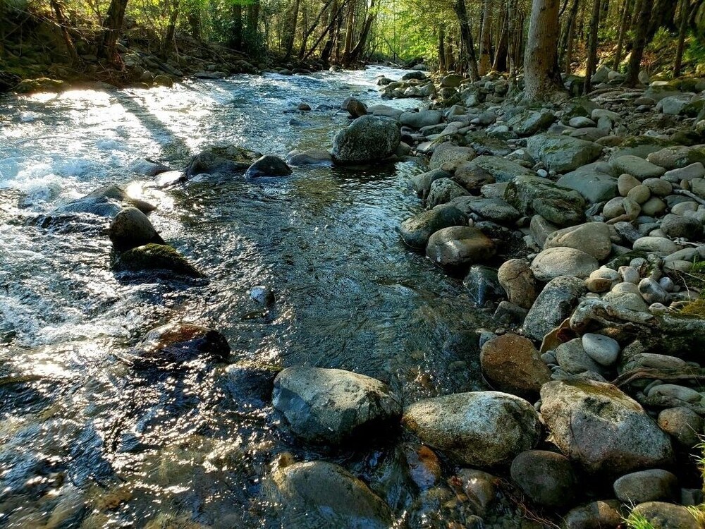 Elk Run On Cosby Creek - 2 Bedrooms, 2 Baths, Sleeps 7 Cabin by RedAwning