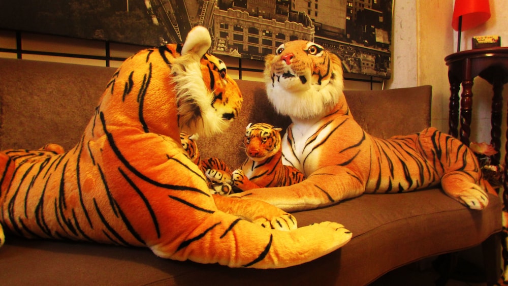Ximen Triple Tiger Hostel