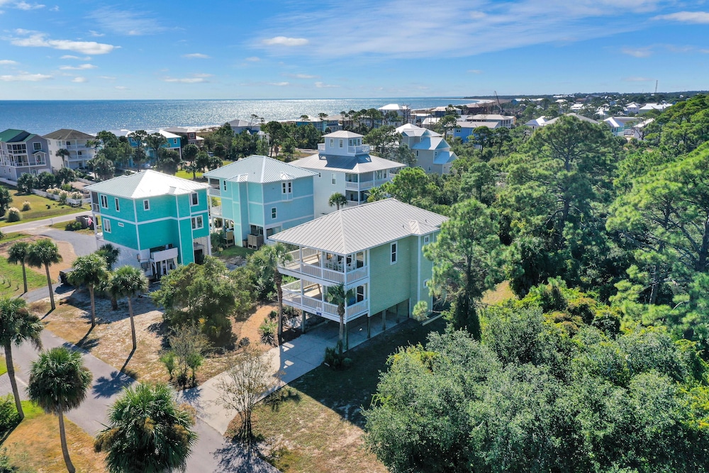 Cape Palms