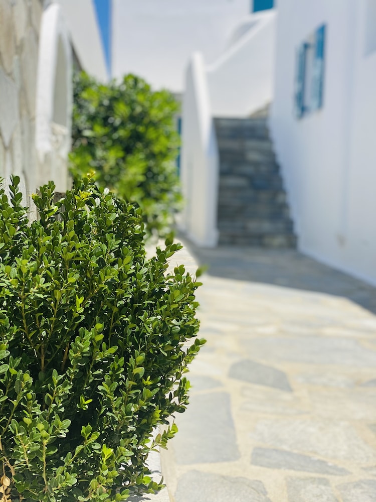 Cyclades Blue