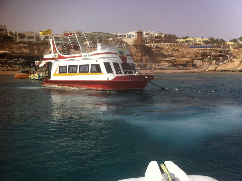 Shark Bay Oasis