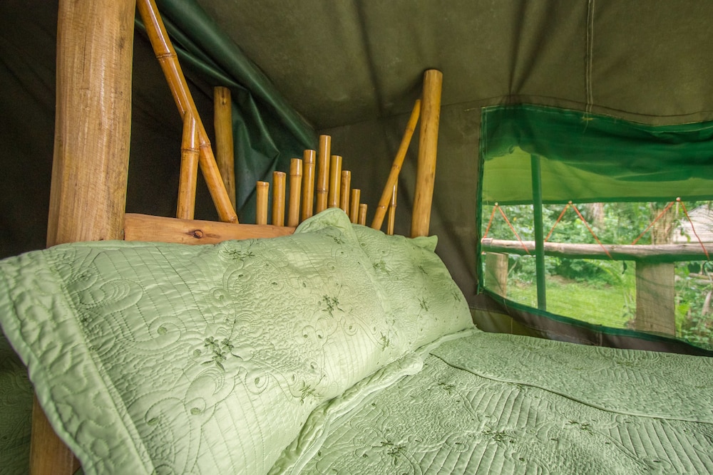 Roots Retreat and Camping Resort