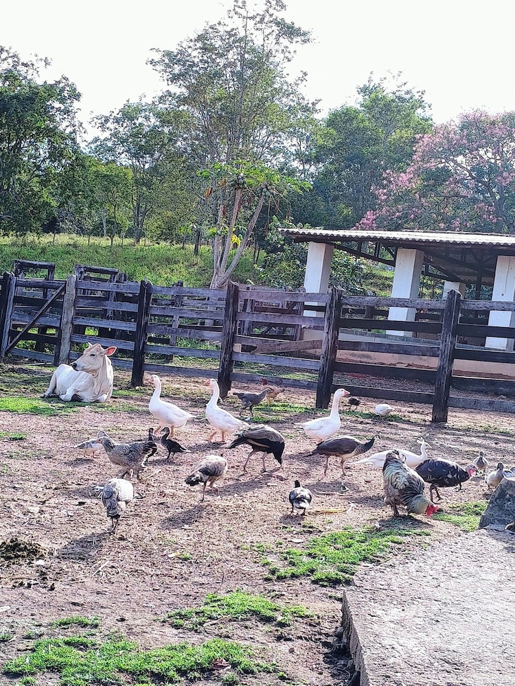 Hotel Fazenda Aguas VIvas