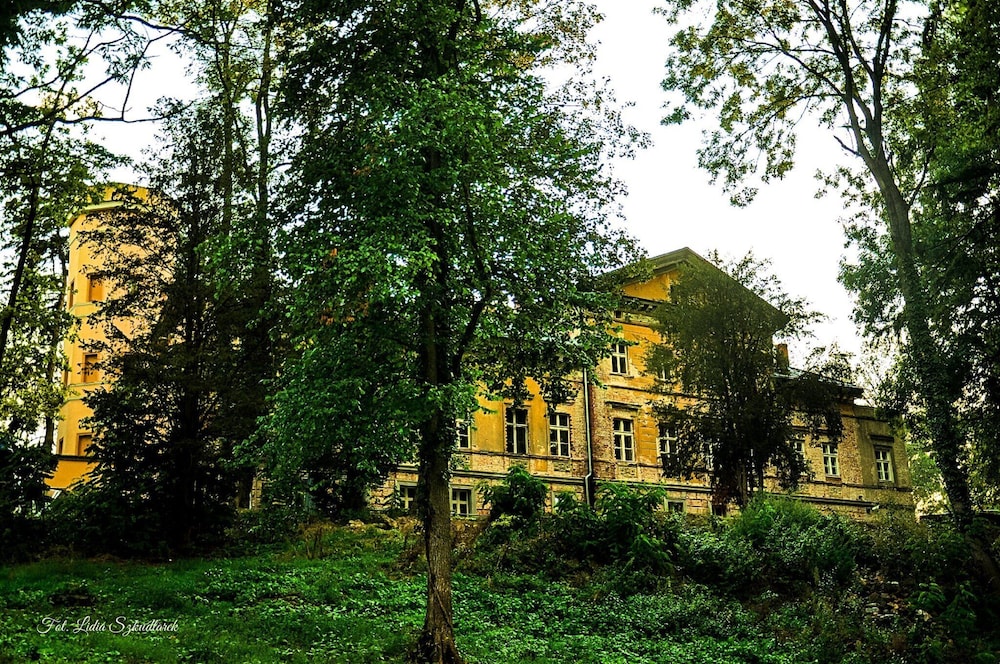 Photo 26