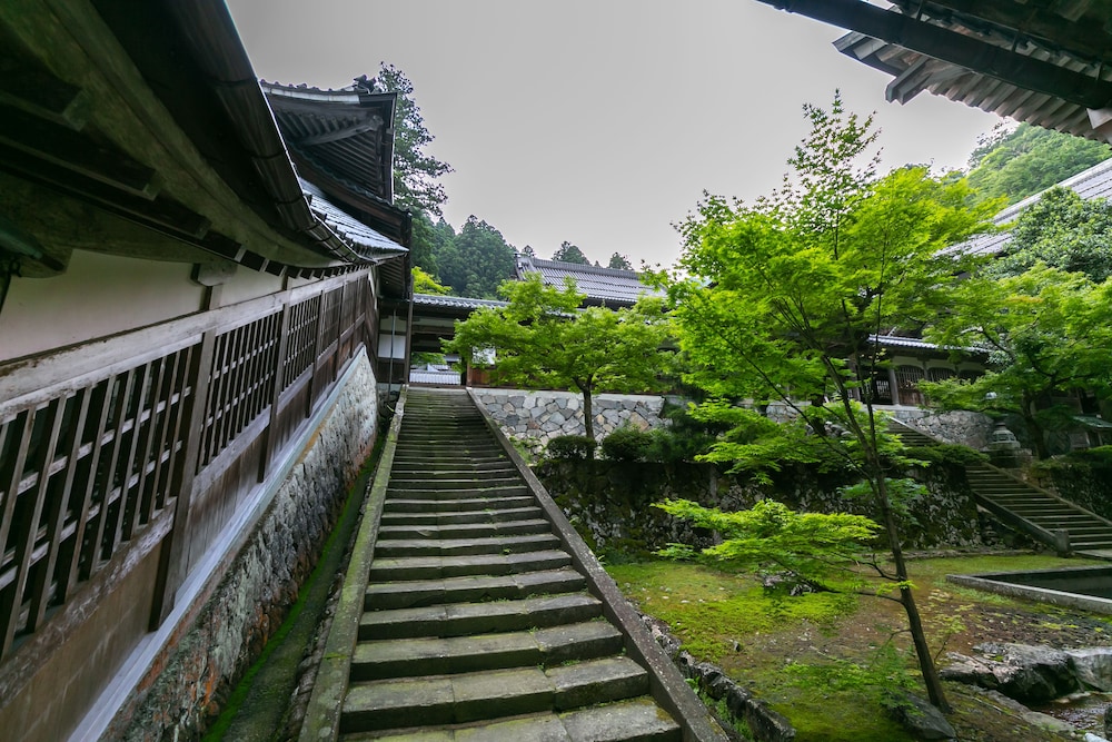 Photo 47