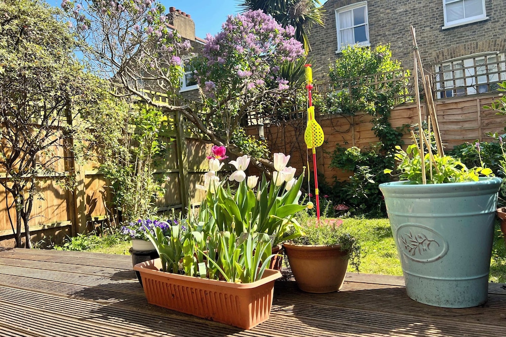 garden