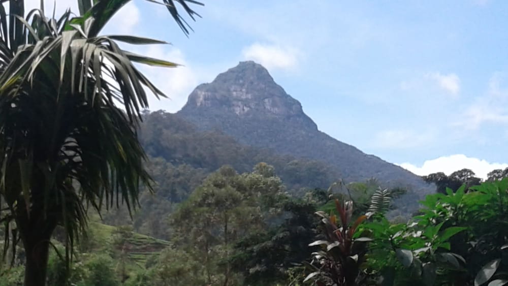 White House Adam's Peak