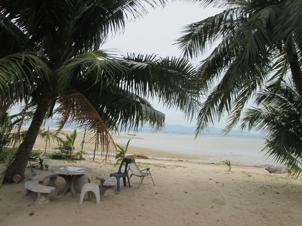Photo 42