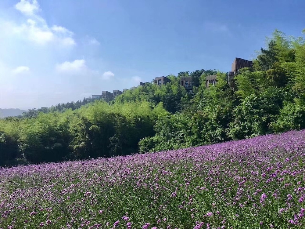 Meijie Mountain Hotspring Resort
