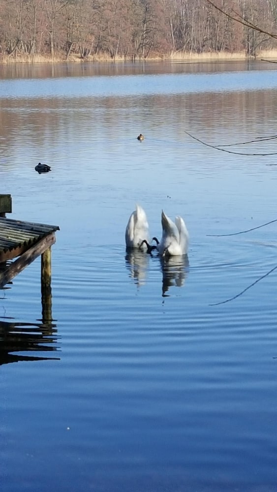 Photo 32