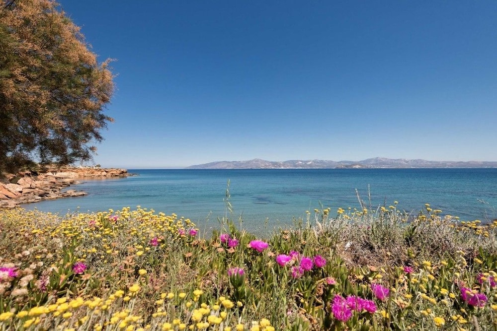 Ambelas Mare photo 4